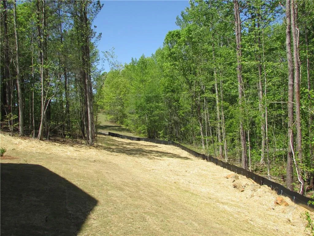 Dallas, Georgia 30157, United States, 4 Bedrooms Bedrooms, ,3 BathroomsBathrooms,Residential,Active,112035