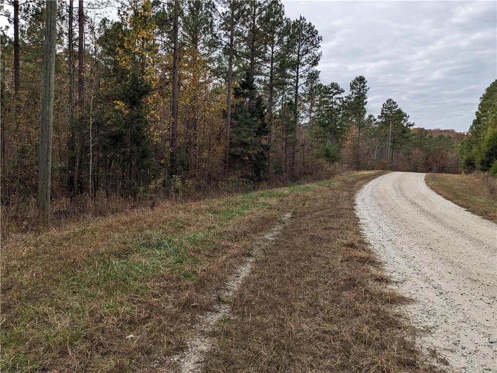 Hornets Bridge Drive, Elberton, Georgia image 6