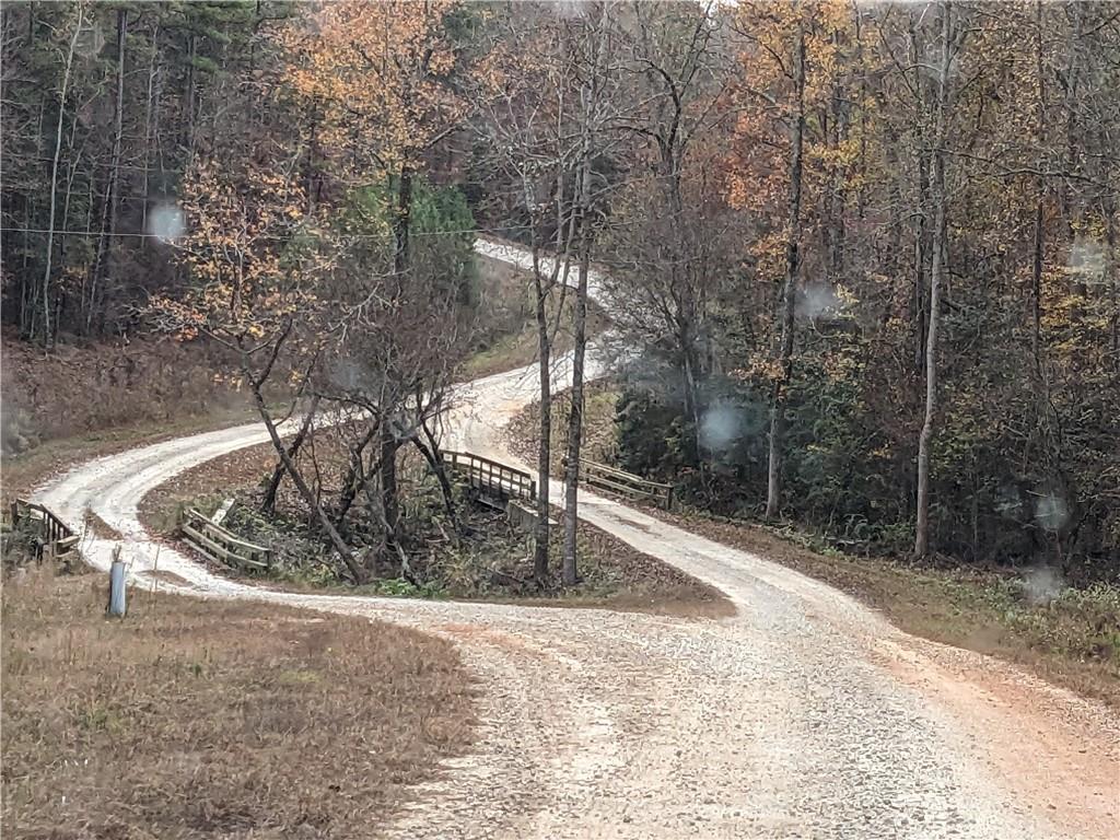 Hornets Bridge Drive, Elberton, Georgia image 8