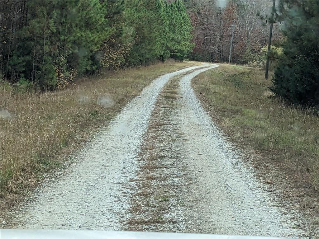 Hornets Bridge Drive, Elberton, Georgia image 7