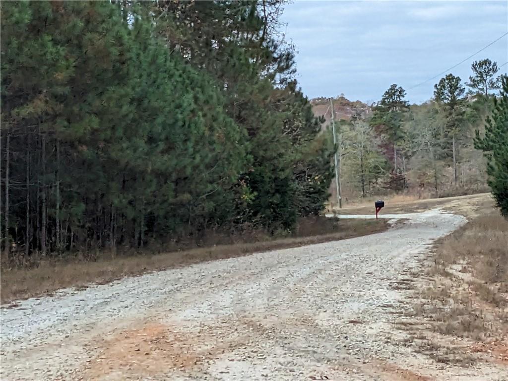 Hornets Bridge Drive, Elberton, Georgia image 9