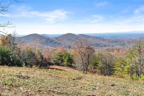 Vacant Land For Sale - Helton Road<br/> White County, Cleveland, GA 30528