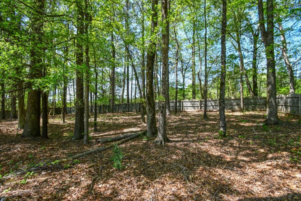 210 Mels Way, Stockbridge, Georgia image 30