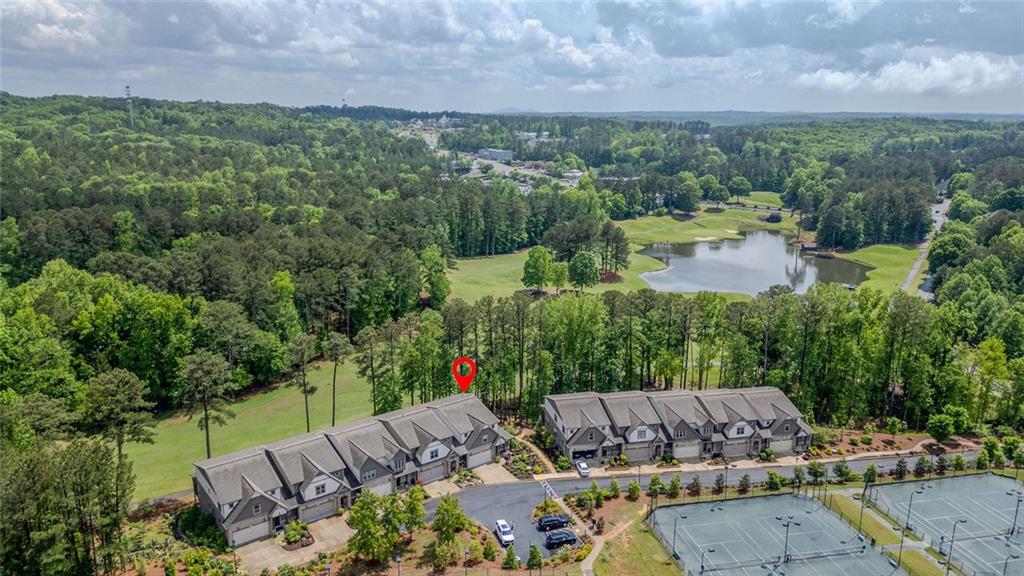 232 Heron Pointe View, Canton, Georgia image 44