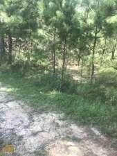 00 Shannon Parkway