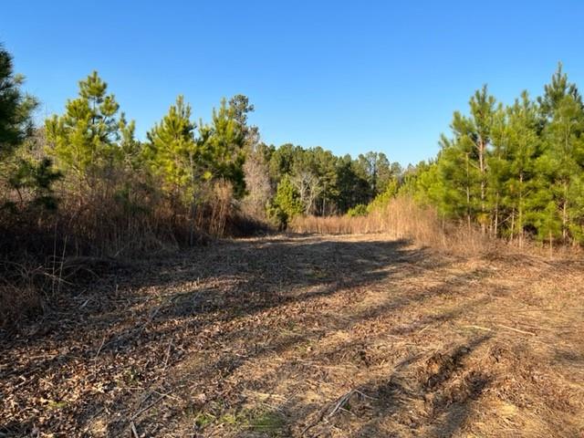 Luke Edwards Road, Dacula, Georgia image 4