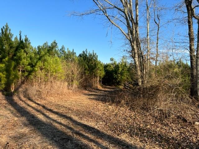 Luke Edwards Road, Dacula, Georgia image 3