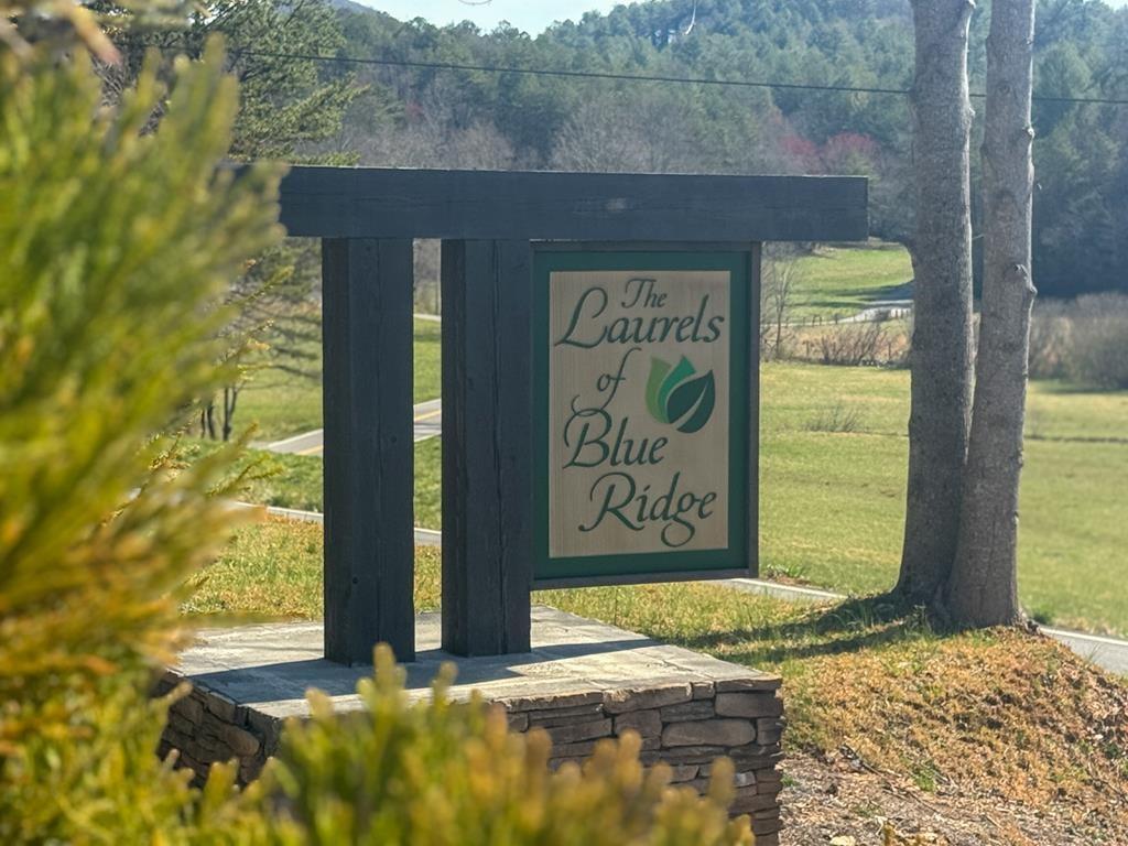 Laurel's of Blue Ridge - Land