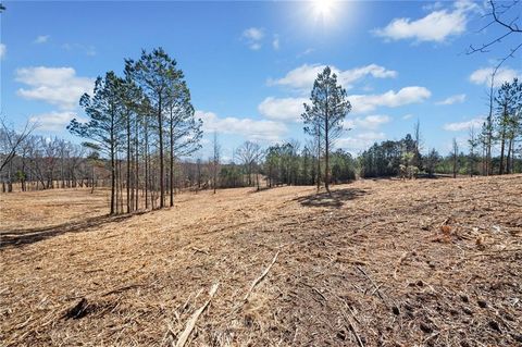 Vacant Land For Sale - 460 Mt. Olive Church Lane<br/> White, GA 30184