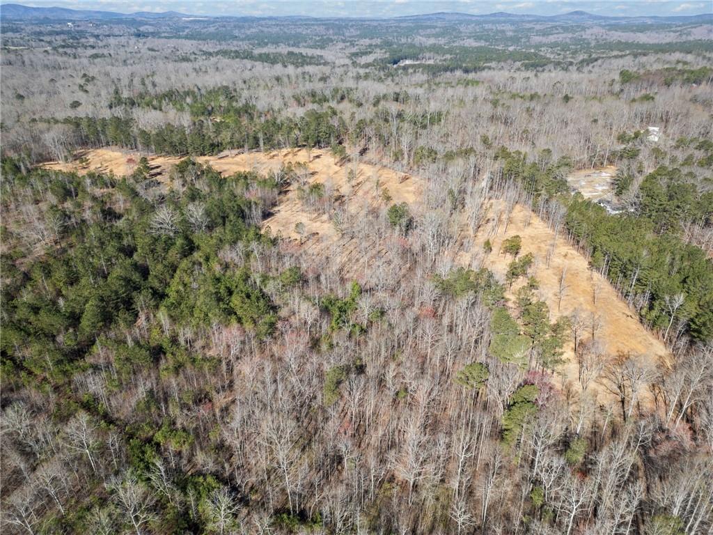 460 Mt. Olive Church Lane