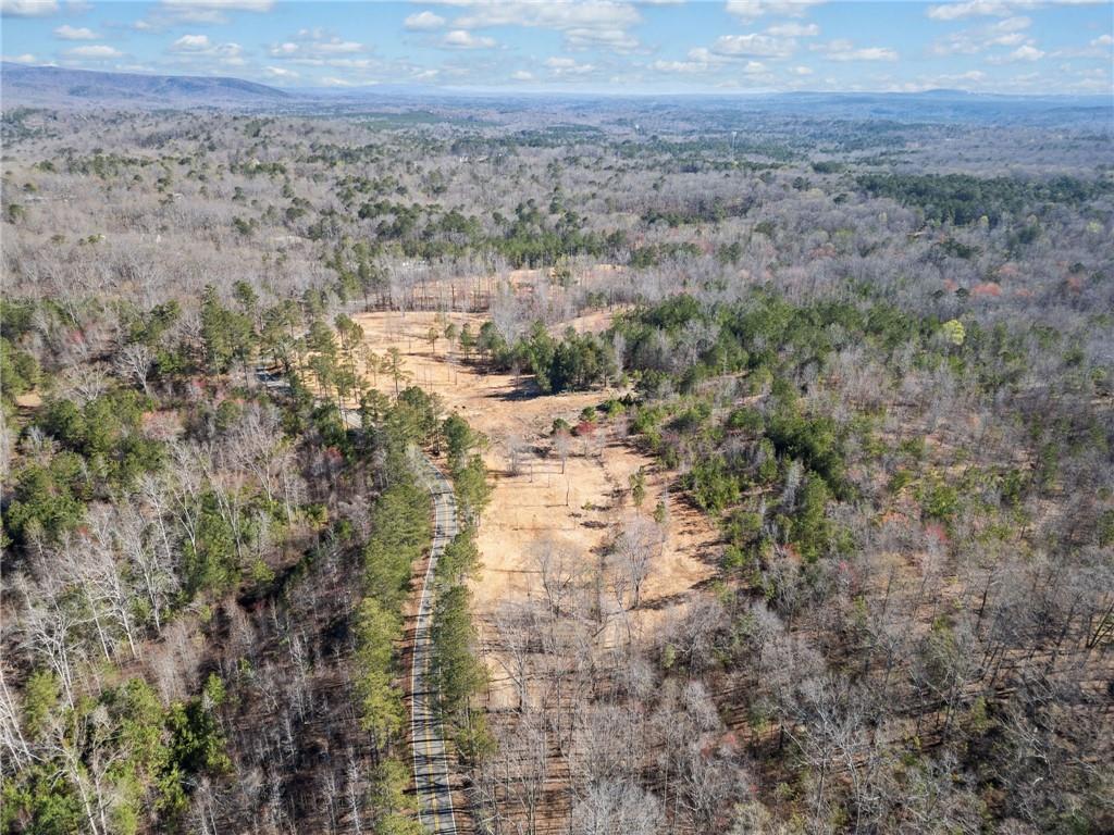 460 Mt. Olive Church Lane