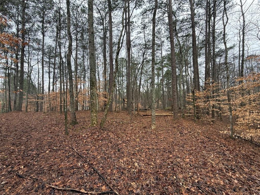 1666 Rock Springs Lane