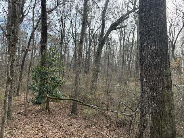 Here is your chance to make your mark on over 18 acres. Enjoy mature hardwoods with a creek on the property. Build your dream home in the woods or make pasture for livestock. The possibilities are endless. Road frontage on Pitts Road just off Mt. Zion Road. Conveniently located between Carrollton and Bremen, and just under 6 miles from I-20. There is one additional adjoining tract of land available with road frontage on Mt. Zion Road.