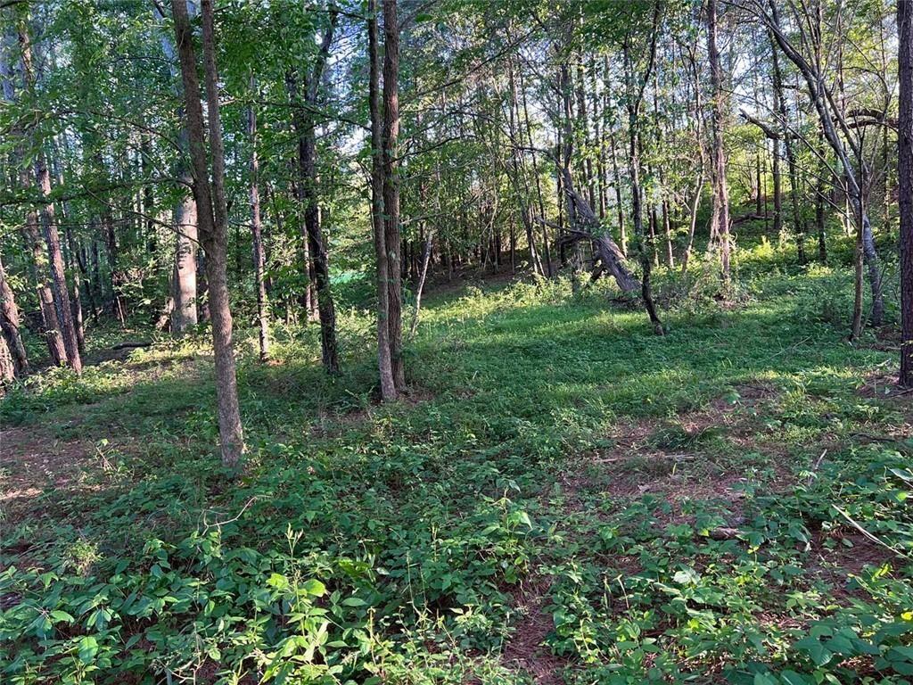 Mccullers Lane, Loganville, Georgia image 3