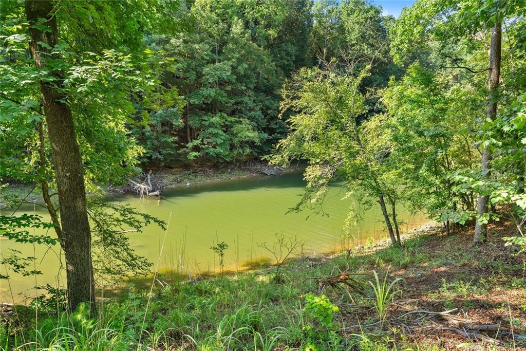 3199 Lotheridge Road