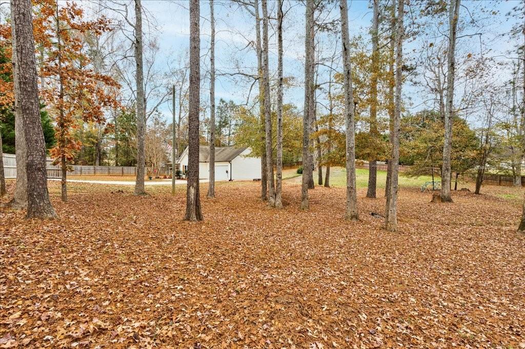 504 Leguin Mill Road, Locust Grove, Georgia image 29