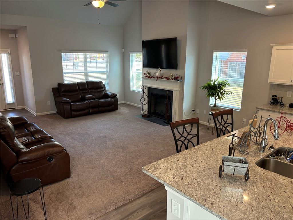 457 Panhandle Place, Hampton, Georgia image 18