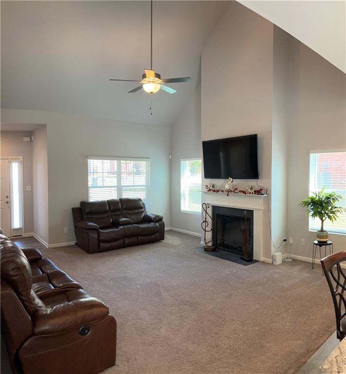 457 Panhandle Place, Hampton, Georgia image 3