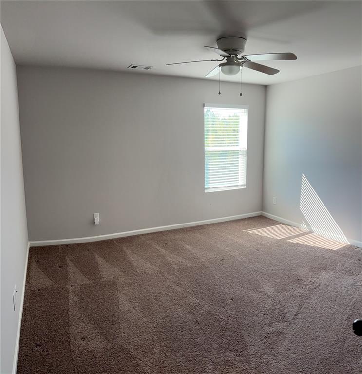 457 Panhandle Place, Hampton, Georgia image 45