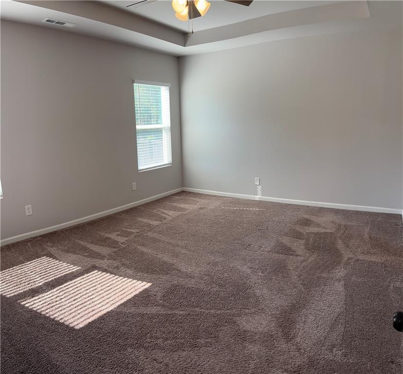 457 Panhandle Place, Hampton, Georgia image 26