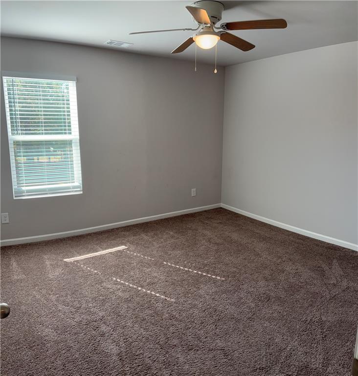 457 Panhandle Place, Hampton, Georgia image 41