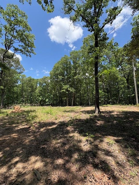 Vacant Land For Sale - 4492 U.s. 78<br/> Tallapoosa, GA 30176