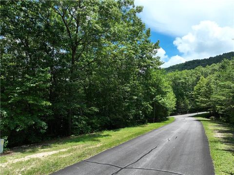 Vacant Land For Sale - 122 Cloudland Drive<br/> Ellijay, GA 30536