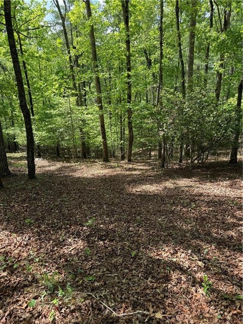 Vacant Land For Sale - Mill Trace Court<br/> Cleveland, GA 30528