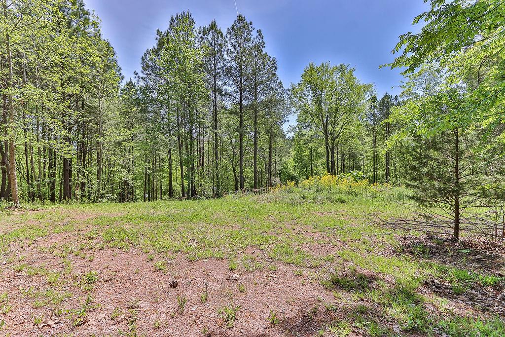 158 Park Road, Rome, Georgia image 20