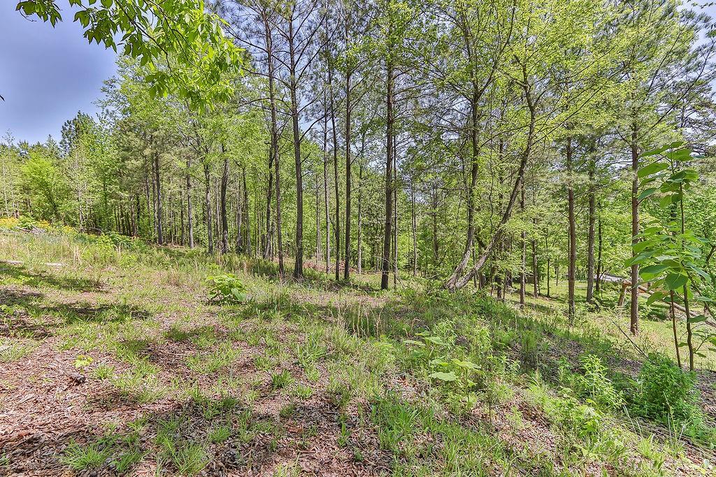 158 Park Road, Rome, Georgia image 17