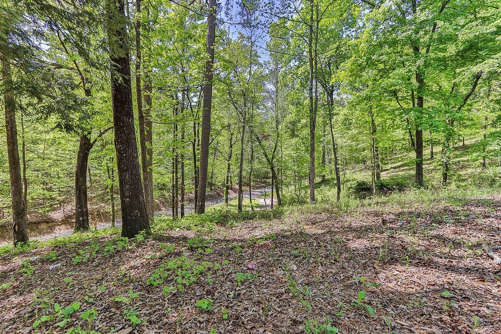158 Park Road, Rome, Georgia image 15