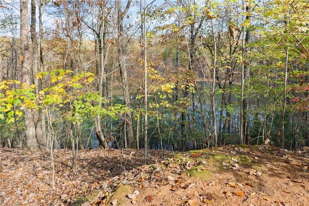 1418 Panorama Drive, Sautee Nacoochee, Georgia image 40
