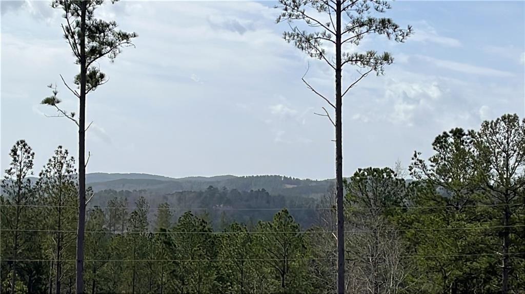 LT 123 Blalock Mountain Road