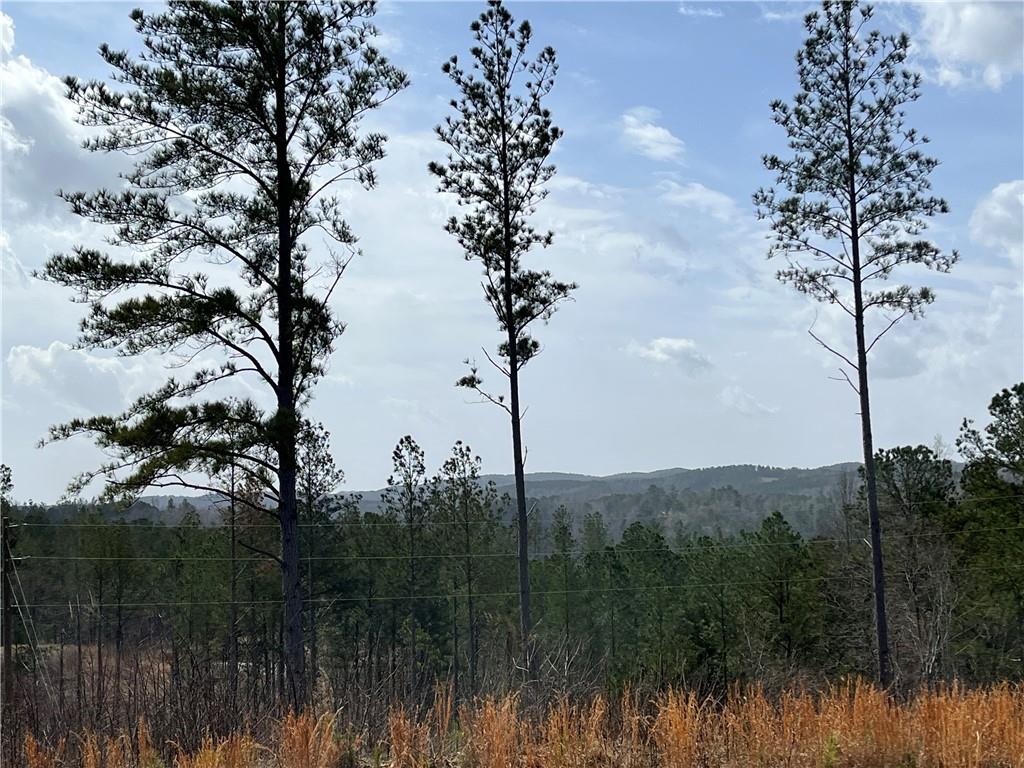 LT 123 Blalock Mountain Road
