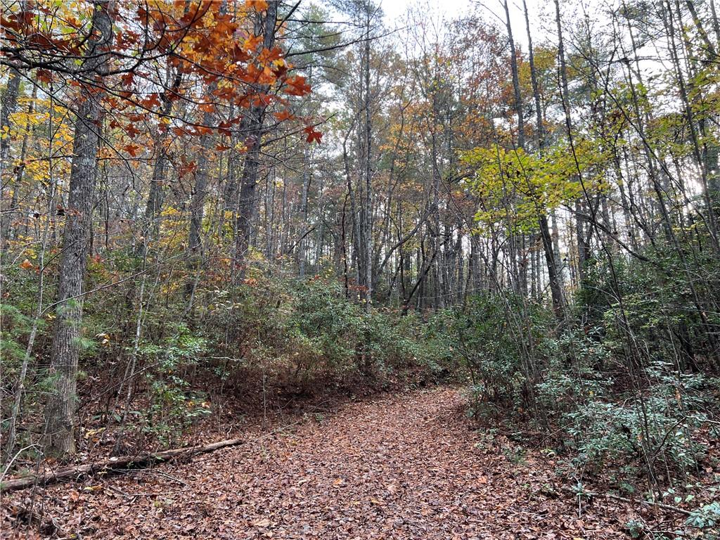 000 Zion Hill Road, Ellijay, Georgia image 38