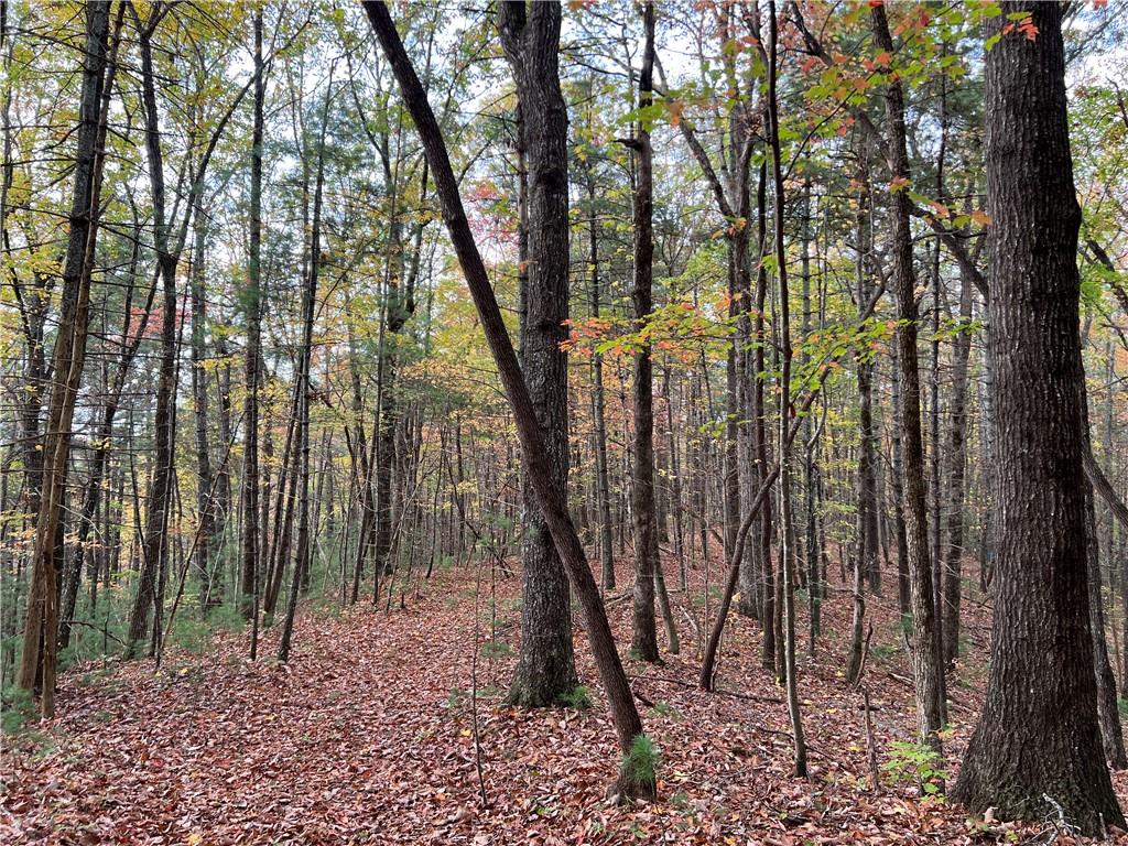 000 Zion Hill Road, Ellijay, Georgia image 11