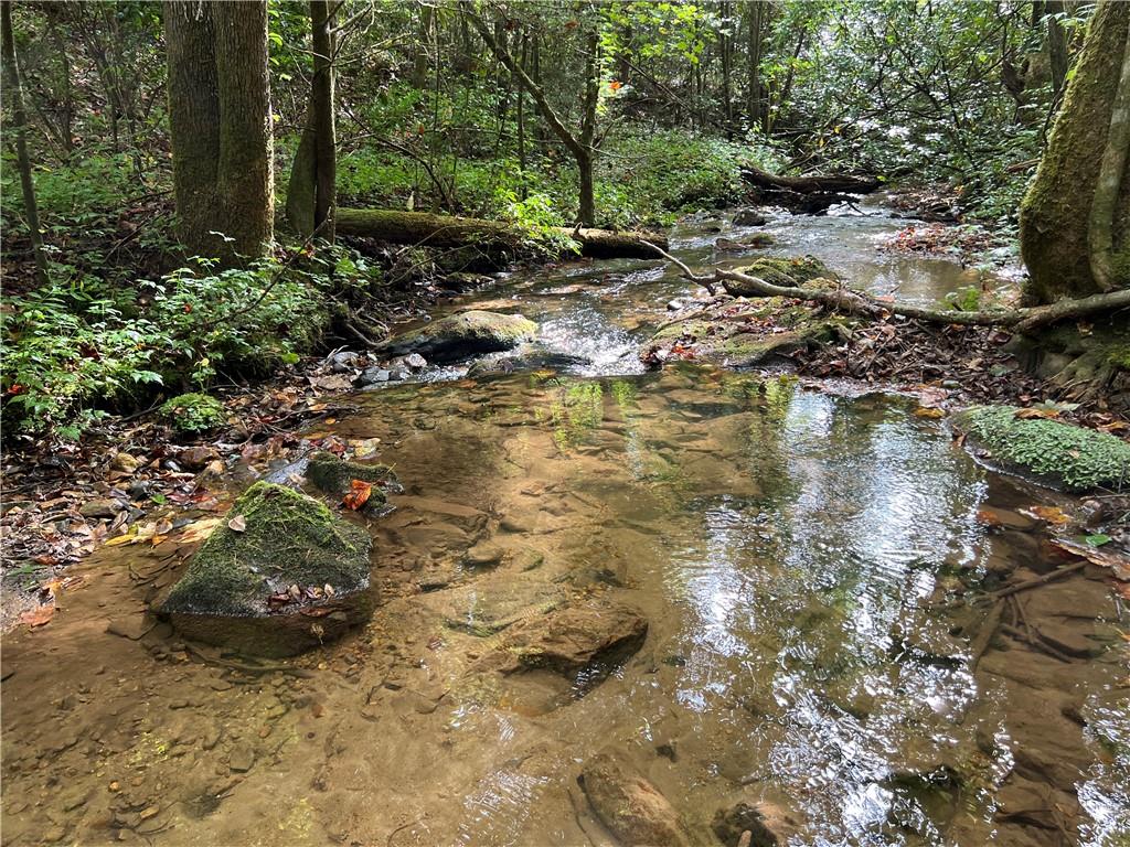 000 Zion Hill Road, Ellijay, Georgia image 1