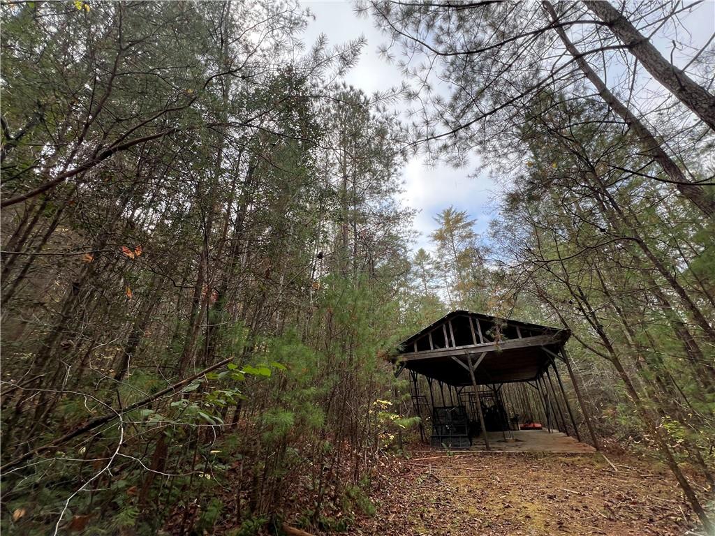 000 Zion Hill Road, Ellijay, Georgia image 27