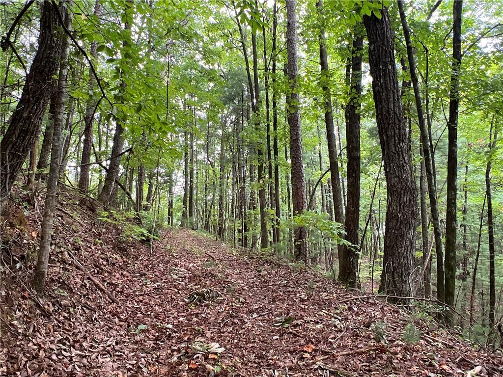 000 Zion Hill Road, Ellijay, Georgia image 15