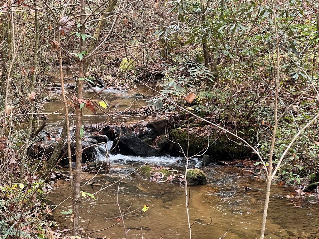 000 Zion Hill Road, Ellijay, Georgia image 6