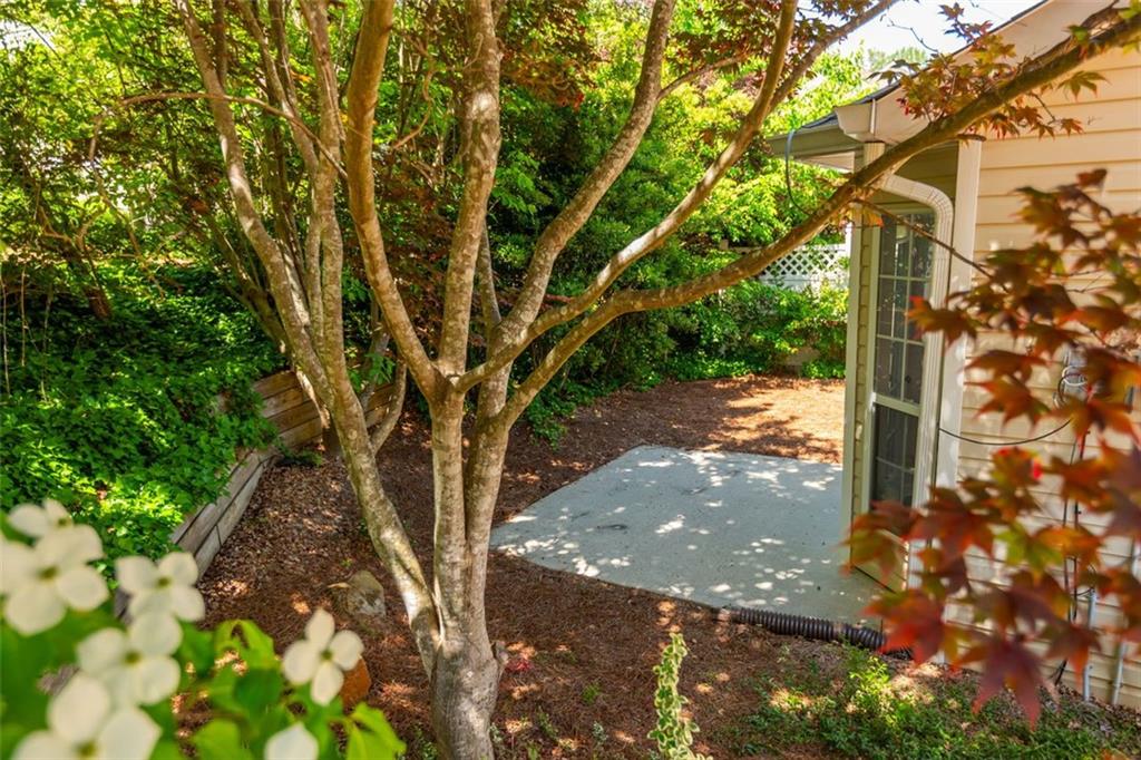 407 Red Coat Lane, Woodstock, Georgia image 31