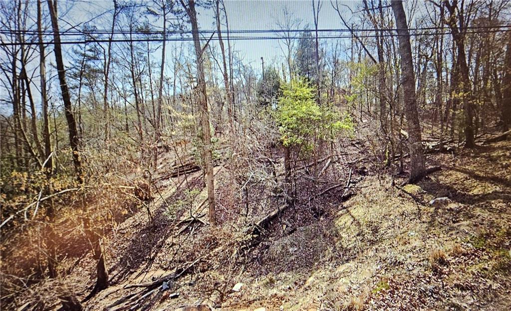 00 Newport Drive, Ellijay, Georgia image 2