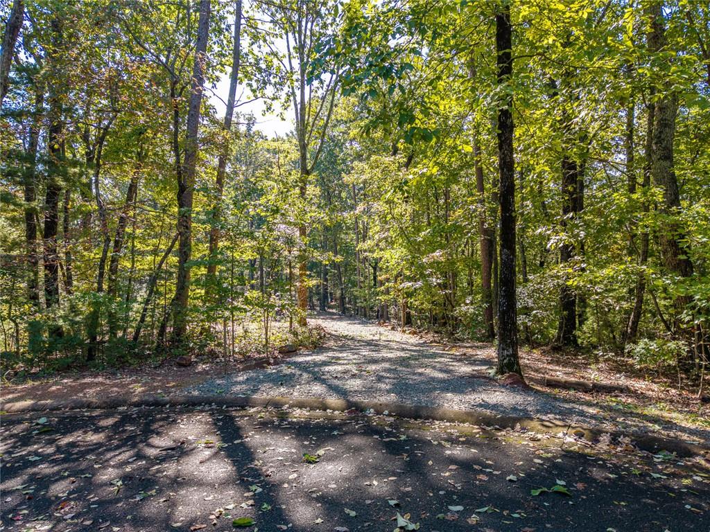 Lot 22 Abbott Mill