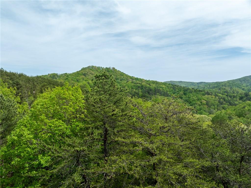 728 Railey Ridge, Ranger, Georgia image 27