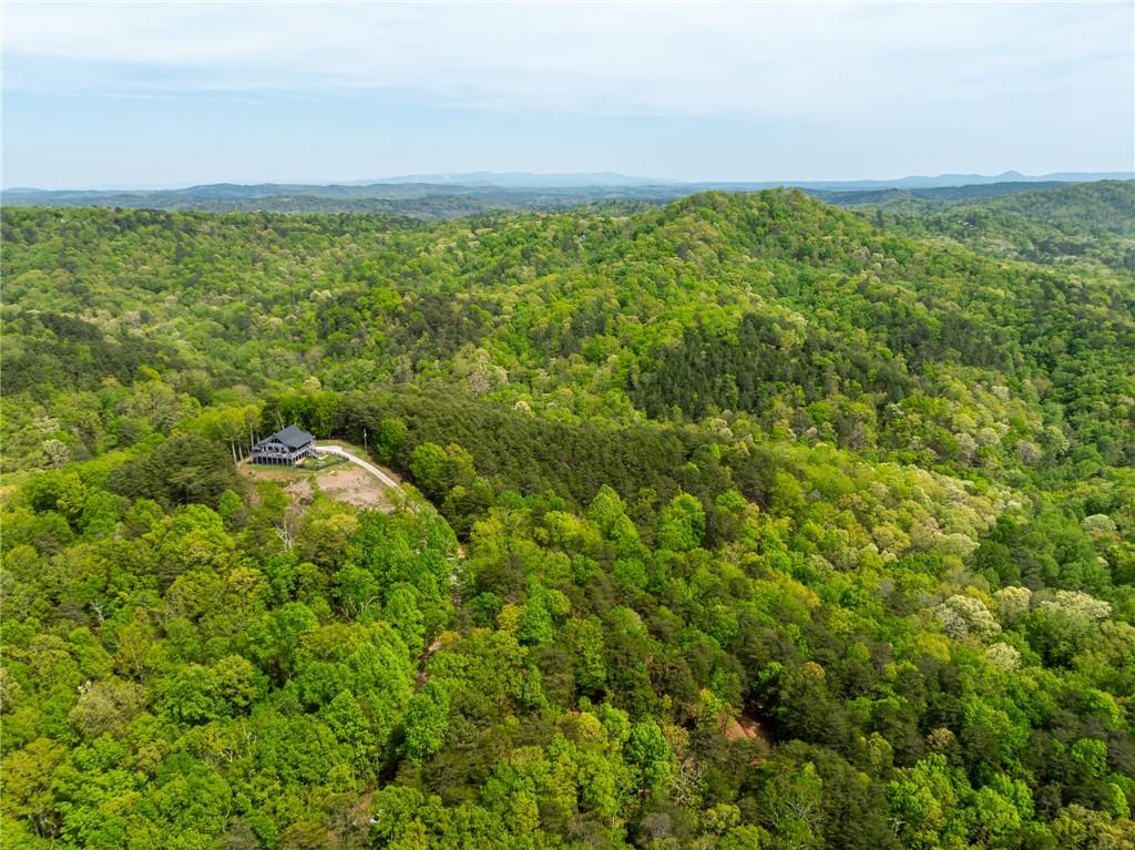 728 Railey Ridge, Ranger, Georgia image 22