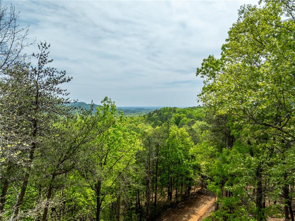 728 Railey Ridge, Ranger, Georgia image 16