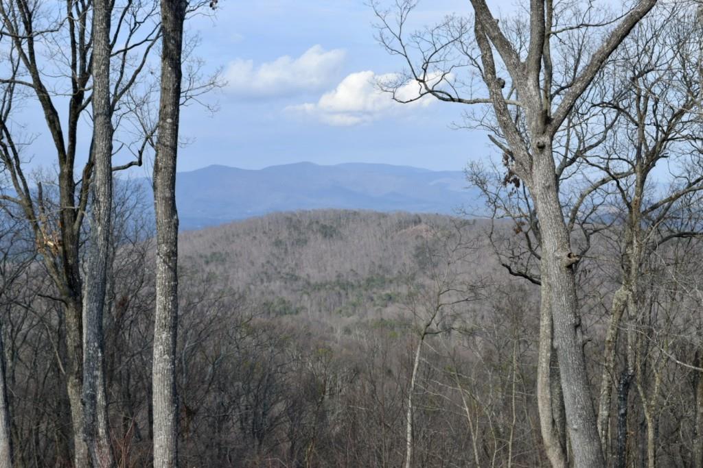 High Summit Drive, Talking Rock, Georgia image 14