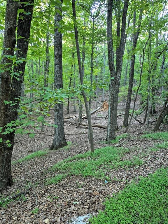 BEAUTIFUL building lot for dream home. Priced well below Dawson County appraised value. A one-acre gentle slope building site! If you are looking for a private mountain retreat, you have found the place for your dream home. It's time to come home to the peace and serenity of the beautiful Mountains of Big Canoe. ***There will be a Capital Contribution fee of $4,500 payable to the Big Canoe Property Owners Association due at the time a certificate of occupancy is issued. ***Pursuant to Article II, Section 1, Paragraph bb of the Class “A” Covenants for the Big Canoe community, all property transfers are subject to the Big Canoe developer’s right of first refusal.
