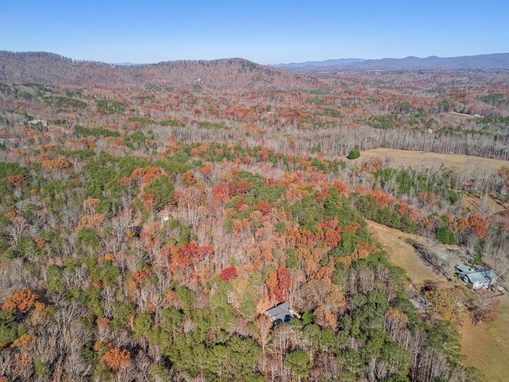 Fern Creek Court, Jasper, Georgia image 9