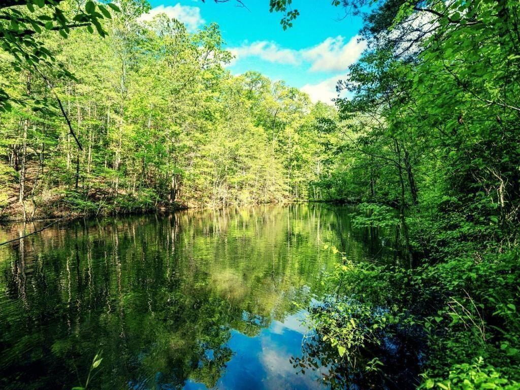 None - 5.52 acres - Residential